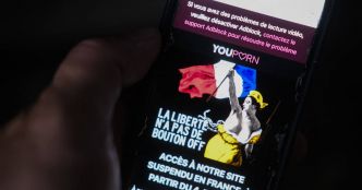 Loi «anti-porno» : «C'est à se demander si elle visait vraiment à protéger les plus jeunes»