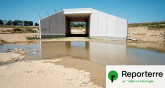 Sur le tracé de l'A69, entre malfaçons et retards de construction