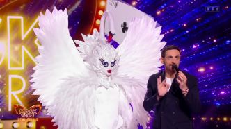 Mask Singer 2025 : qui a été éliminé le 20 juin ?