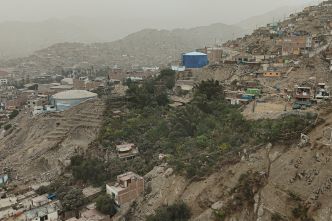 Au cœur du désert urbain de Lima, l'oasis verte d'une femme des Andes péruviennes