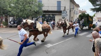 Cortège spectaculaire de chevaux de trait, 4 jours de fête... Eyragues se prépare à célébrer Saint-Éloi