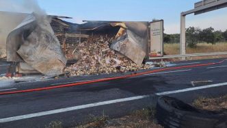 Poids lourd en feu sur l'A9 dans le Gard : le retour à la normale ce samedi matin après plusieurs heures de bouchon la nuit dernière
