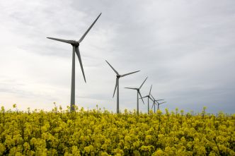 Un moratoire controversé sur l'éolien et le photovoltaïque adopté à l'Assemblée nationale