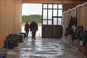 Dossier : C’est décidé, je deviens propriétaire d’un cheval