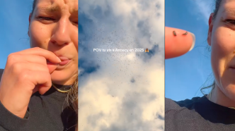 D'où viennent ces nuées de moucherons dont tout le monde se plaint ? On a posé la question à des experts en insectes