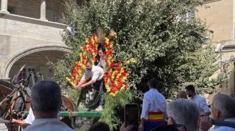 La Fèsto de Sant Jan revient avec ses défilés, ses courses camarguaises et son feu d'artifice