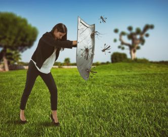 5 astuces pour lutter efficacement contre les piqûres de moustiques