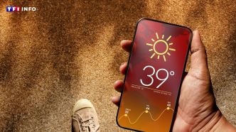 Météo : se dirige-t-on vraiment vers "un été caniculaire" ? | TF1 INFO