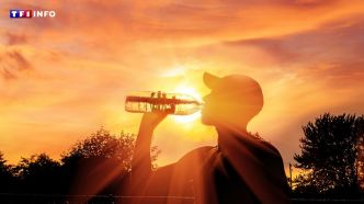 Alimentation, logement, sport, animaux... Tout ce qu'il faut savoir pour bien tolérer la chaleur | TF1 INFO