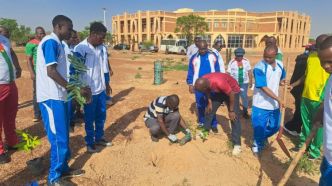 Journée Nationale de l’Arbre : Le Ministère des Affaires étrangères en première ligne à Loumbila