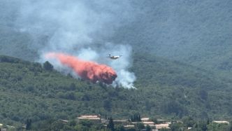 Incendie à Taurize : un hectare de pinède détruit par les flammes, le feu est fixé