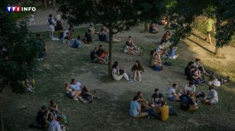 Canicule et Fête de la musique : ces grandes villes où parcs et jardins restent ouverts cette nuit | TF1 INFO