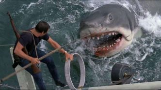 La scène la plus terrifiante des Dents de la mer tournée... dans une simple piscine