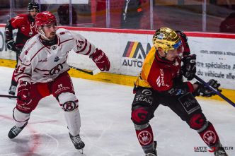 HOCKEY SUR GLACE – Ligue Magnus : Les Gothiques piochent encore chez les Diables Rouges