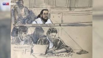 Attentat de Magnanville : la perpétuité confirmée en appel pour Mohamed Lamine Aberouz | TF1 INFO