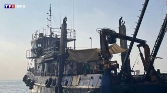 Une Française prend un chalutier pendant 20 heures pour quitter Israël : "la seule solution trouvée"  | TF1 INFO
