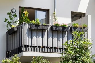 Les fleurs préférées de vos grands-parents font leur grand retour : de l'iris au coquelicot, voici comment elles transforment un simple balcon en jardin incroyable !