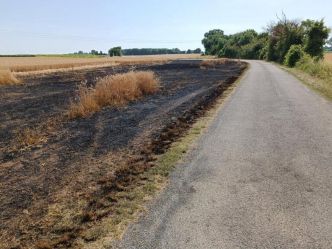 Trois départs de feu, un pailler incendié à Courbillac, 5000m2 de prairie détruits à Vars