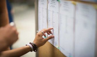 Bac 2025 Tunisie : 37,08 % de réussite à la session principale, tous les chiffres par section