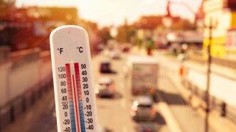 Canicule en Algérie : les prévisions chocs d'un climatologue