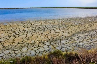 Émilie-Romagne : La mosaïque des cultures