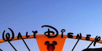 Plusieurs gardes à vue après l'organisation d'un mariage à Disneyland Paris entre un homme et une mineure
