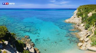Var : envie d'aller vous baigner ? Voici les 10 plus belles plages du département | TF1 INFO