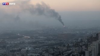 Proche-Orient : près de 350 ressortissants français évacués d'Israël d'ici à lundi | TF1 INFO