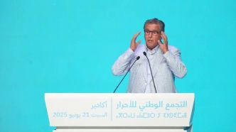 M. Akhannouch: grâce à la diplomatie Royale clairvoyante, le Maroc connaît une stabilité et une marche réelle de développement