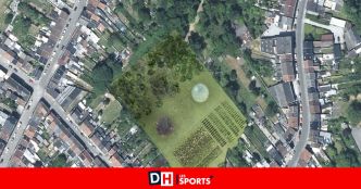 Comment transformer un ancien terrain de foot en verger agroforestier : des étudiants ont travaillé sur un cas d'école à Marcinelle
