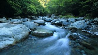 La Fête de la musique tourne mal : une jeune femme de 24 ans se noie dans une rivière en pleine vague de chaleur