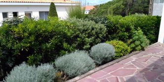 Jardins à sol sec : comment les entretenir ?