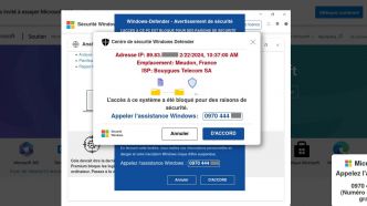 Écran bleu, ordinateur bloqué... Comment se protéger face aux arnaques au faux support technique