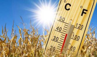 Tunisie: Prévisions météo pour le dimanche 22 juin 2025