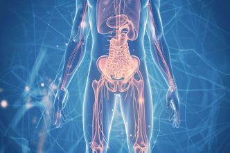Une étude révèle des risques inquiétants quant aux greffes de microbiote fécal pour certains patients