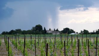 Après la canicule, ces deux secteurs de l'Aude vont être frappés par des orages intenses ce dimanche