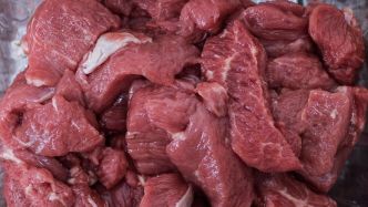 Mort d'Élise, 12 ans, après une intoxication alimentaire : 17 enfants contaminés, rayon de boucherie dans un supermarché fermé... on fait le point