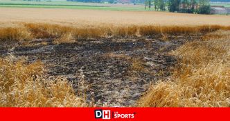 Un champ en partie ravagé par les flammes à Ville-en-Hesbaye