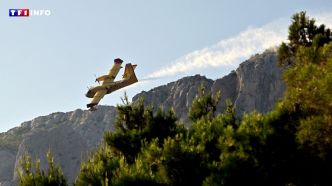 Violents incendies en Croatie : la police enquête sur "des actes de pyromanie" | TF1 INFO