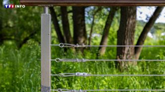 Puis-je installer une clôture électrique dans mon jardin ? | TF1 INFO