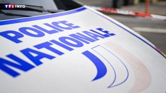 Haute-Savoie : une école primaire visée par un incendie criminel | TF1 INFO