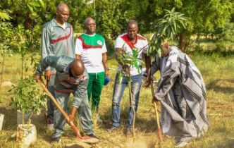 Opération cinq millions d'arbres en une heure au Burkina Faso : Le Ministère de la Défense répond avec 600 plants sous terre