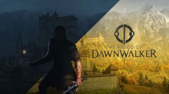20 minutes de gameplay pour The Blood of Dawnwalker