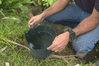 VIDEO. Les habitants de Saint-Joseph mobilisés contre les moustiques