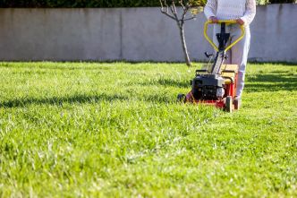 Comment protéger efficacement sa pelouse face aux fortes chaleurs estivales ?
