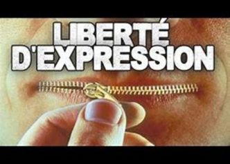 Enfoirés ! En soutien à Sophia Aram   Et la liberté d'expression malmenée par des... journalistes