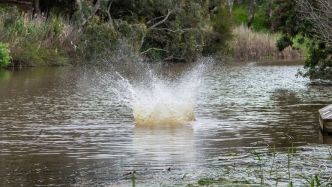 Les secours sont appelés pour un saut de 15 mètres raté dans une rivière : en arrivant sur place le corps de l'adolescent a disparu