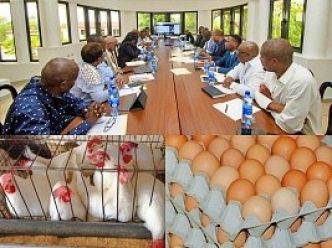 Haïti - Agriculture : Importante réunion autour de la filière avicole