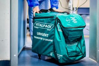 Faire un don d'organe, une pratique encore timide en Martinique
