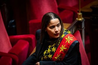 Immigration, convergence sociale, titre de séjour territorialisé, expropriation... La loi pour la refondation de Mayotte arrive à l'Assemblée nationale